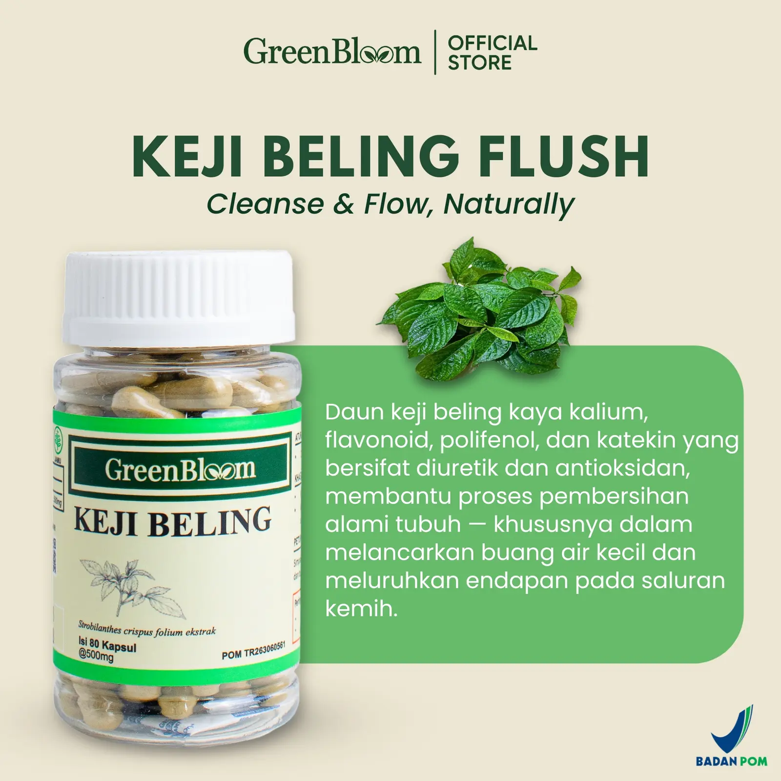 GreenBloom Keji Beling 80 Kapsul - Batu Ginjal Kencing Batu Saluran Kemih Anyang-anyangan Herbal BPOM โ foto 3