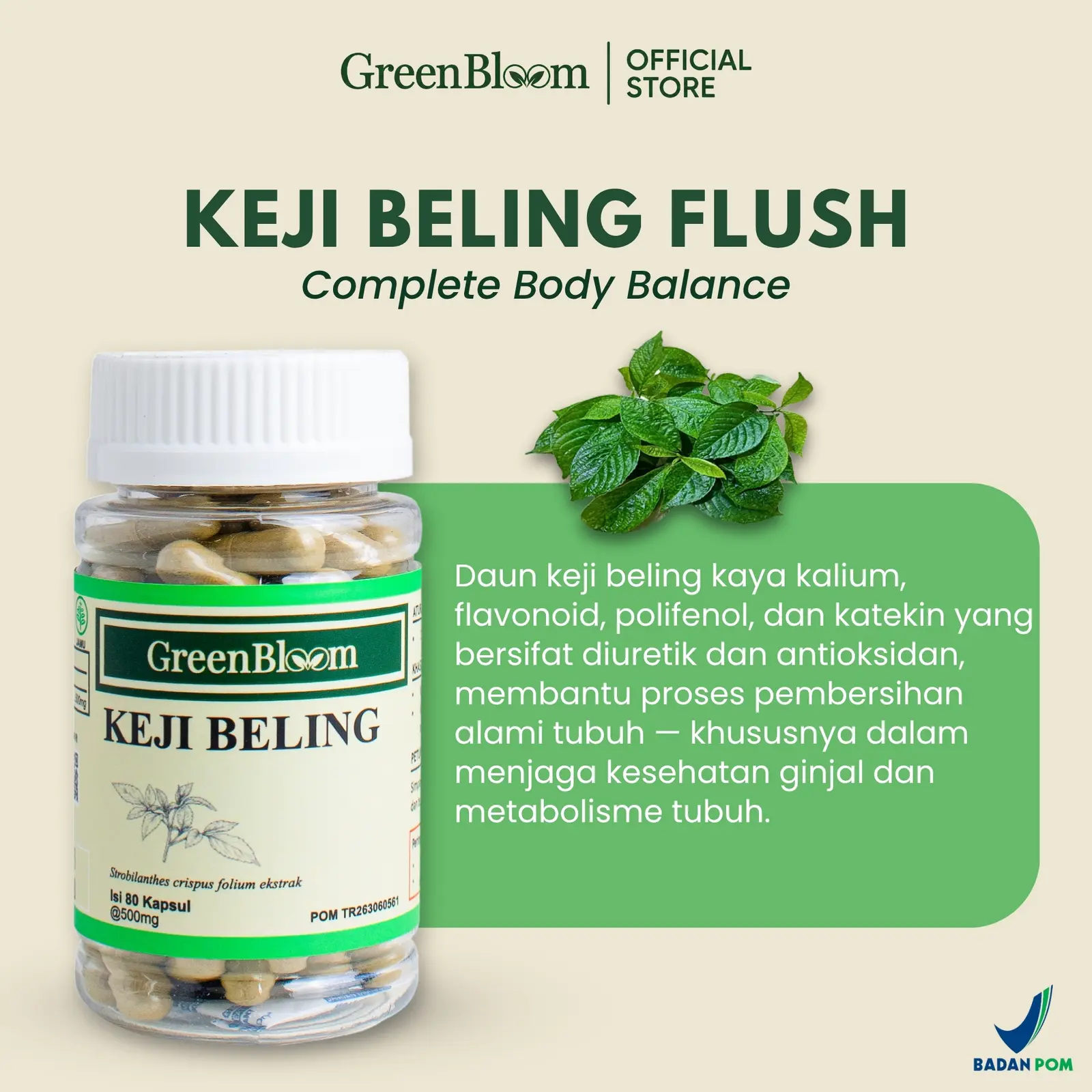 GreenBloom Keji Beling Paket 2 Botol - Batu Ginjal Gula Darah Saluran Kemih Herbal BPOM @80 Kapsul โ foto 3